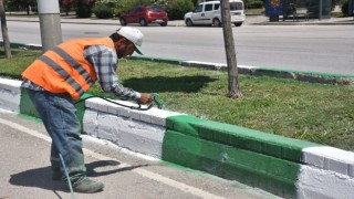 Osmaniye'de kent girişi renklendiriliyor