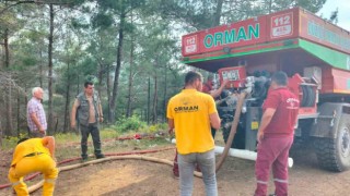 Osmaniyede orman yangını, ekipler havadan ve karadan müdahale ediyor