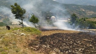 Ormana sıçrayan anız yangını kısa sürede söndürüldü