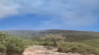 Osmaniye'de üst üste orman yangınları