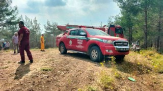 Orman yangını kontrol altına alınarak söndürüldü