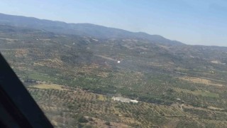 Otoban kenarında çıkan yangın, büyümeden söndürüldü