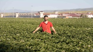 (ÖZEL) Fenomen çiftçinin Afyon şivesiyle yaptığı espriler dilden dile dolaşıyor