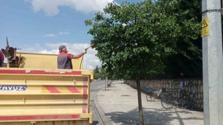 Park bahçeler, Düzceyi ilmek ilmek işliyor