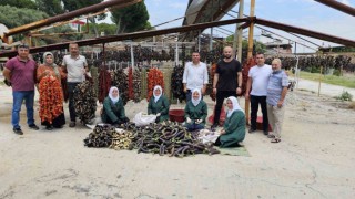 Patlıcan Vadisinde renkli görüntüler