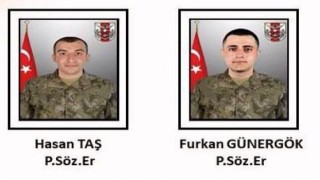 Pençe-Şimşek Harekatı Bölgesinde İki Asker Şehit Oldu