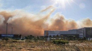 Portekizde orman yangını