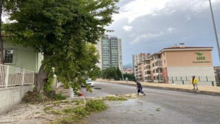 Rüzgar ağaçları devirdi, yıldırım düşmesi böyle görüntülendi