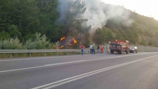 Sakaryada orman yangını
