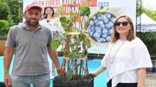 Samsun Büyükşehirin çiftçilere desteği sürüyor