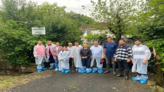 Samsunda fındık rekolte tespit çalışmaları tamamlandı