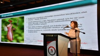 Samsunda uyuşturucu ile mücadele tam gaz devam ediyor