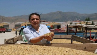 Sandıklıda arpa üreticileri alım fiyatlarından dertli
