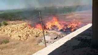 Şanlıurfada 100 ton saman yangında küle döndü