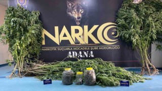 Sadece kullanıyorum dedi ama tutuklanmaktan kurtulamadı