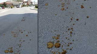 Şehir içinde gezen at arabalarının geride bıraktığı pisliklere tepki
