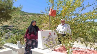 Şehit ailesinin köprü isteği