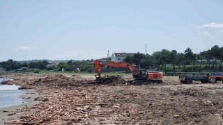 Selde sahile sürüklenen odunlar enerji olacak