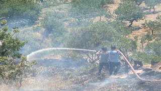 Siirtte fıstık bahçesinde çıkan yangın söndürüldü