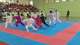 Siirtte Wushu Kung Fu geleneksel Türkiye şampiyonası sona erdi