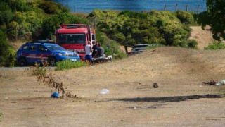 Şilede sahilde bulunan 30a yakın mayın ekipleri harekete geçirdi