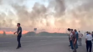 Simavda arazi yangını