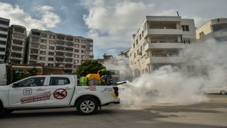 Sinek ve haşare ile mücadele için ilaçlama yapıldı