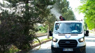 Sinek ve haşere ile mücadele