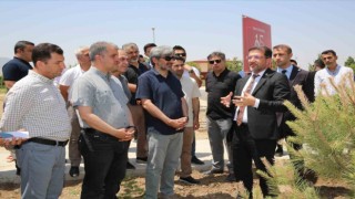 Şırnak Üniversitesi tarafından şehitler anısına hatıra ormanı oluşturuldu
