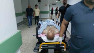 Sokak kedilerini kovduğu için bıçaklı saldırıda ağır yaralandı