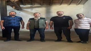 Şuhutta TMO hububat alımına başladı