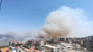 Suriyede 4 gündür süren orman yangınında 1 kişi öldü