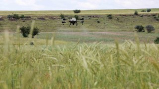 Talasta drone ile ilaçlama devri
