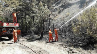 Taraklıda çıkan orman yangınında soğutma çalışması sürüyor