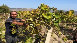 Tarım işçileri araç içerisinde yarı çıplak ceset buldu