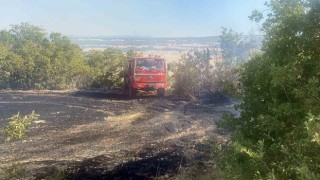 Tarladan ormana sıçrayan yangında hayvanlar da zarar gördü
