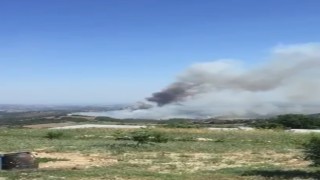 Tarsusta çıkan orman yangını kontrol altına alındı