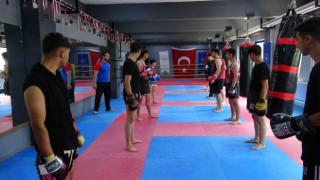 Tatvanda ringlerin yıldızları yetişiyor