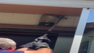 Tavandaki yılan paniğe neden oldu