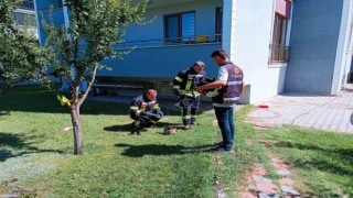 Tavşanlıda alev alan mutfak tüpü paniğe sebep oldu