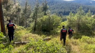 Tekirdağ Jandarması, orman yangınlarına karşı hem karadan hem havadan denetimler gerçekleştiriyor