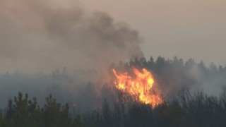 Tekirdağdaki yangında 300 hektar ormanlık alan küle döndü