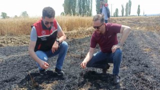 Tepebaşı İlçe Tarım Müdürlüğü yangın çıkan tarlalarda inceleme yaptı