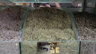 Terlemeye karşı bitkisel çözüm: Şeb taşı