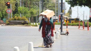 Termometreler 45 dereceyi gördü, sahil ıssızlaştı, şemsiyesi olmayan kartonla sokağa çıktı