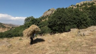Tırpan ile biçtikleri otları 1 kilometre sırtlarında taşıyarak kışa hazırlık yapıyorlar
