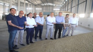 TMO Kulada hububat alımına başladı