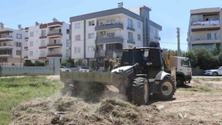 Toroslarda boş arsalar temizleniyor