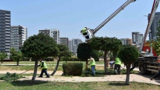 Toroslarda park ve yeşil alanlar bakımdan geçiyor