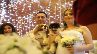 Türk damat ile Rus gelinin nikah şahidi köpekleri oldu